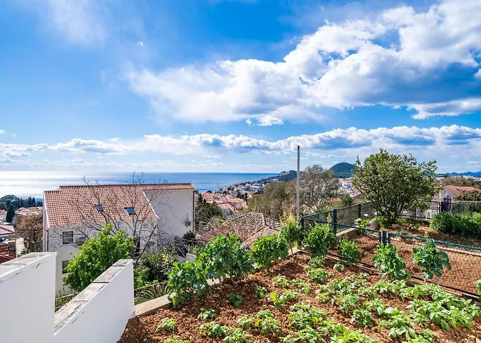 Apartment Debos